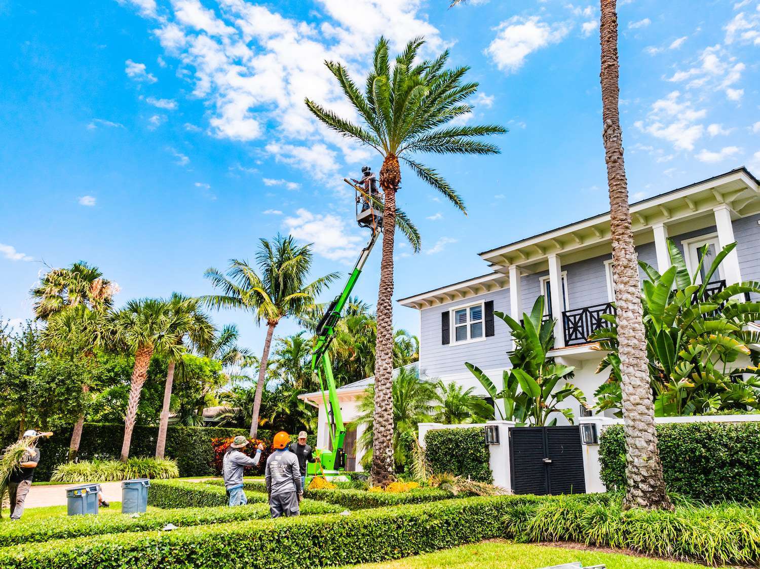 commercial tree services and landscape services across properties in Palm Beach County, FL