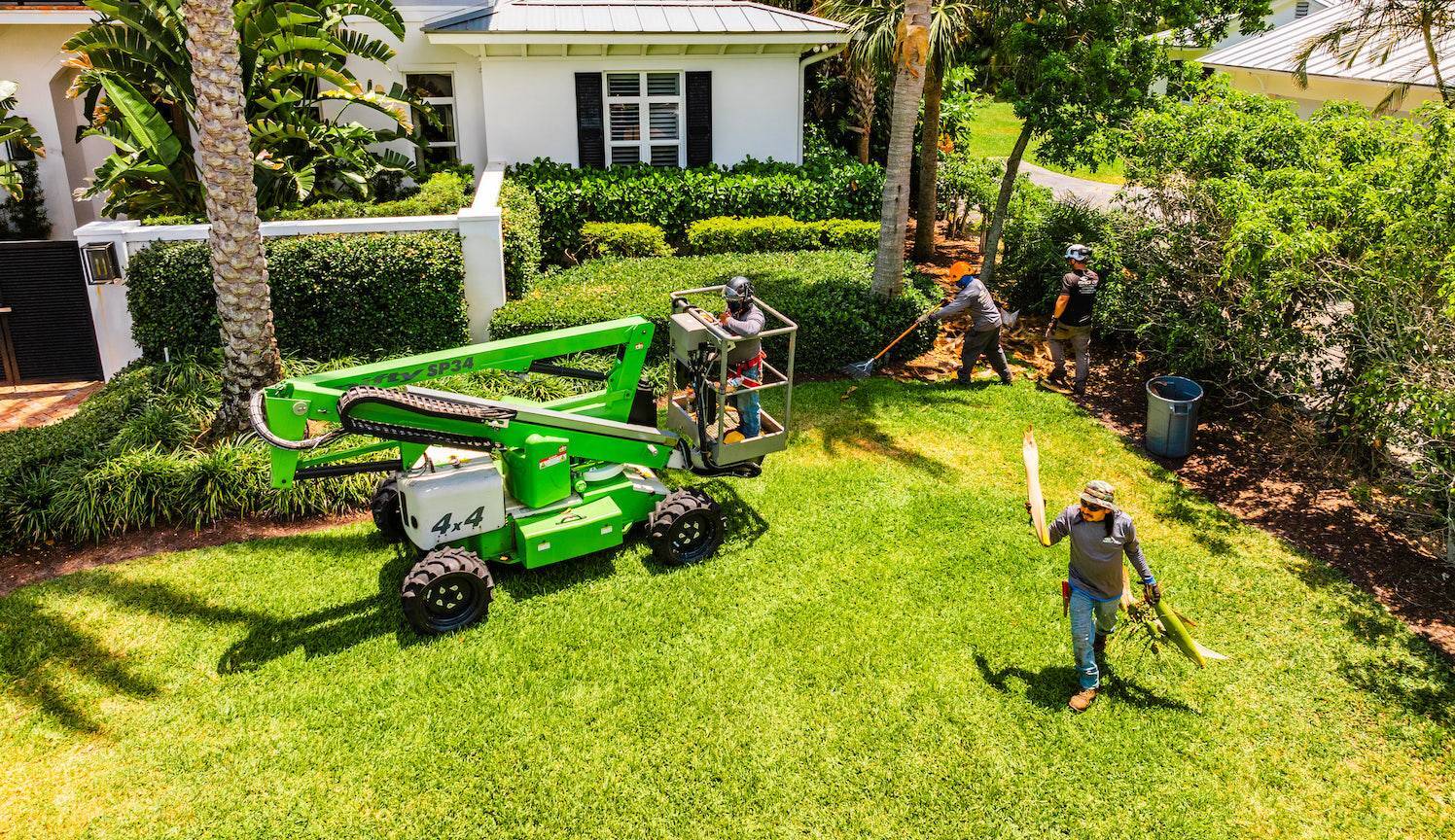 Commercial tree services removing overgrown palms at a luxury estate in Delray Beach, FL