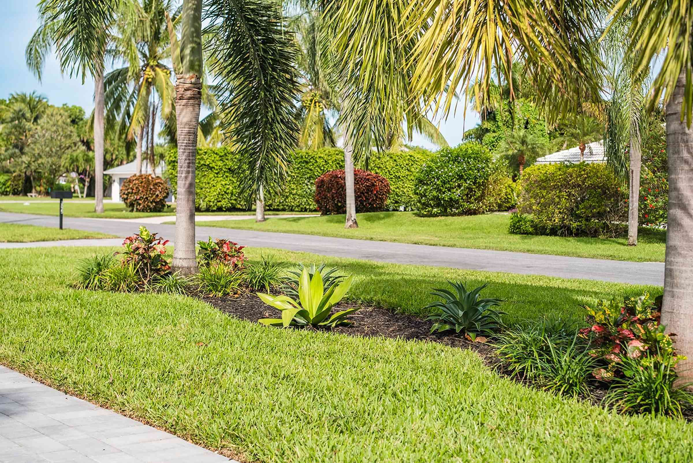 commercial-tree-services