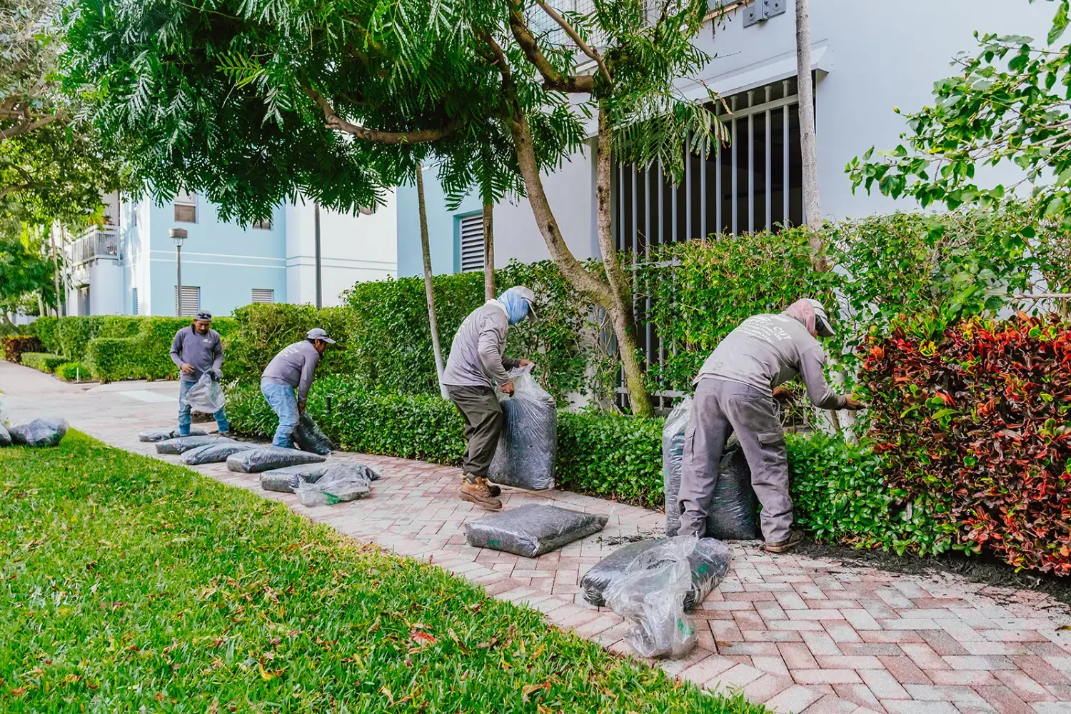 hoa-landscaping-01