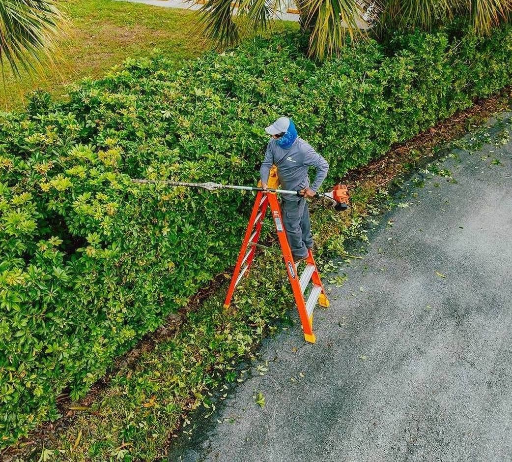 Landscaping crew trimming hedge along residential street in Boynton Beach FL-2