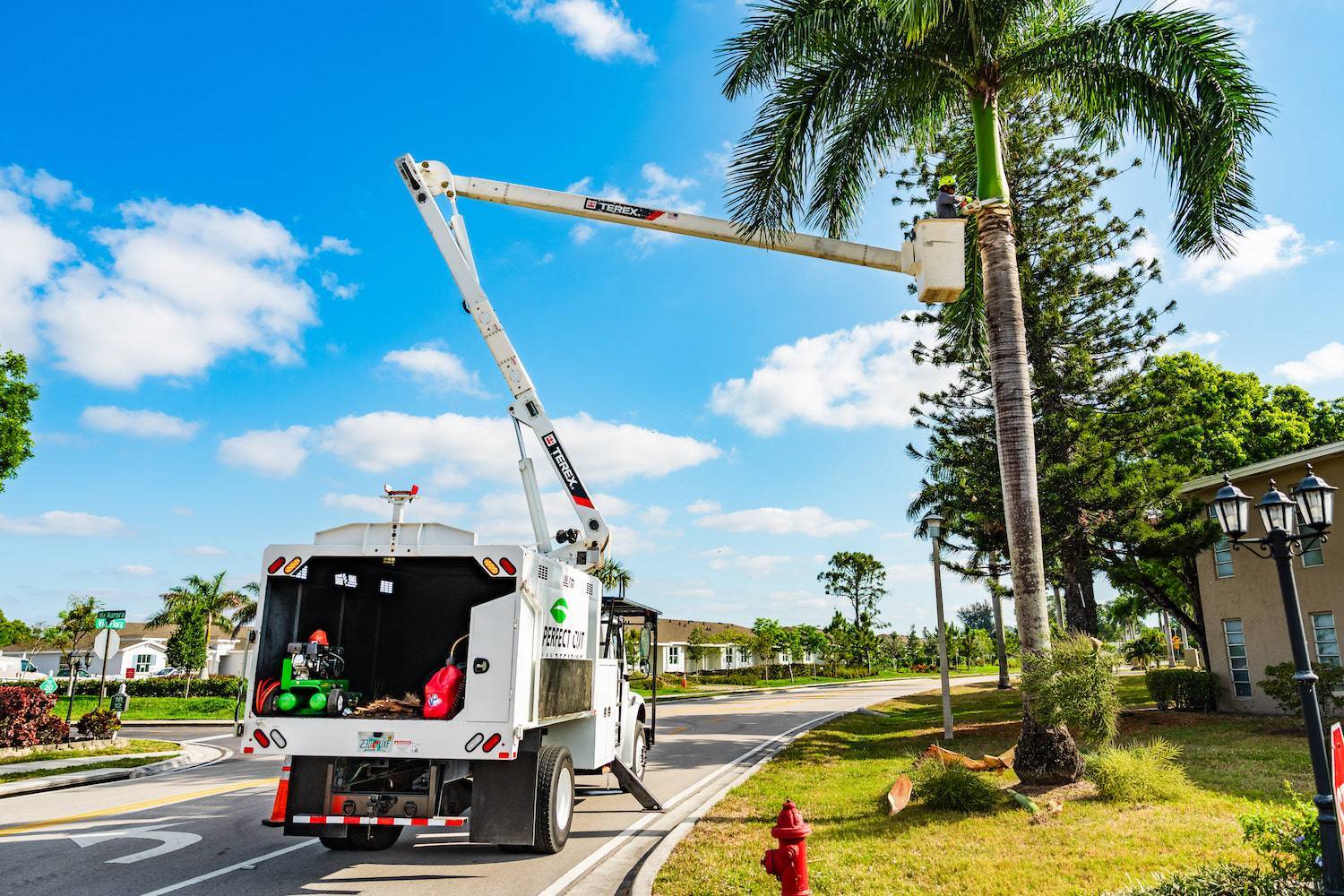 Professional landscape maintenance with tropical plantings in West Palm Beach, FL