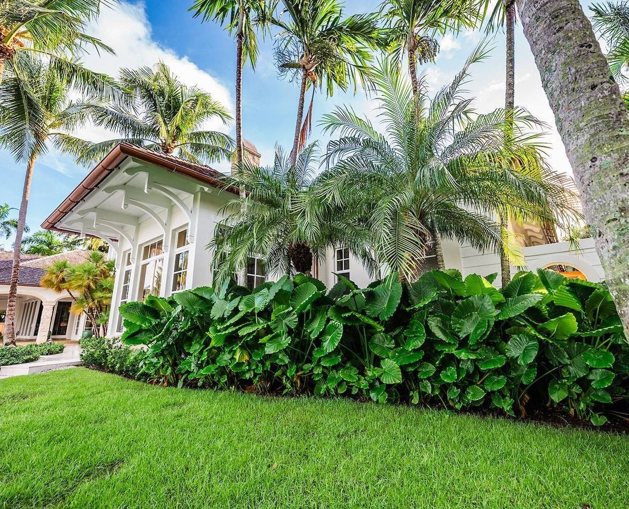 Waterfront estate with palm trees, pool, and professional landscape company work in Manalapan, FL